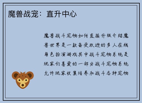 魔兽战宠：直升中心